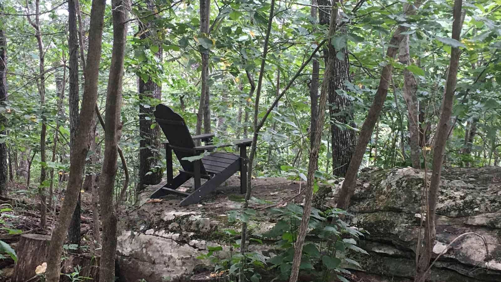 Adirondack Chair in woods